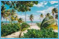 Best Costa Maya Beaches to Visit