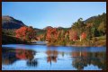 Best Fall Foliage Cruise Destinations