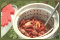 Cajun Fest moves to Iowa State Fairgrounds’ venue