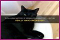 Can a Bombay cat have green eyes? – Janet-Panic.com