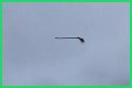 Disturbing video shows floating broom in the middle of the air and the internet is losing its collective mind