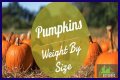 How Much Does Pumpkin Make Per Episode On Mama June?